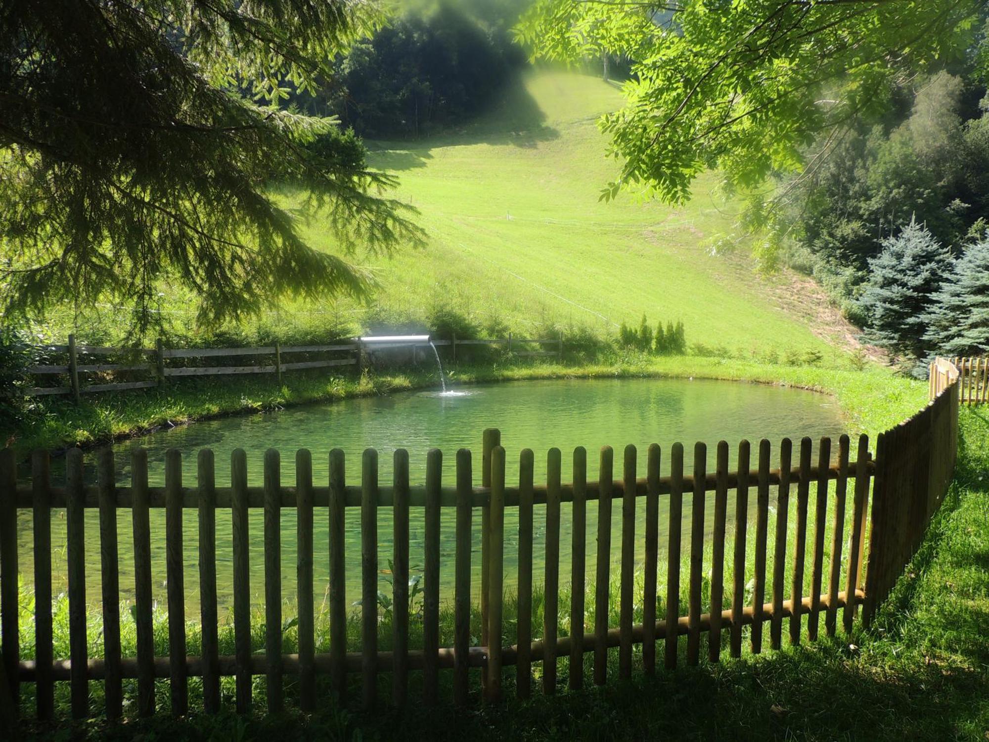 Haus Gafrina Bed & Breakfast *